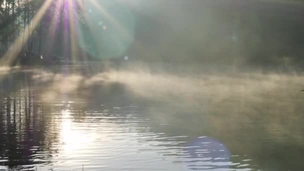 閉じる朝の雰囲気パン ウン湖で日光と水面に霧 観光名所キャンプ メーホンソン州 タイ北部 — ストック動画