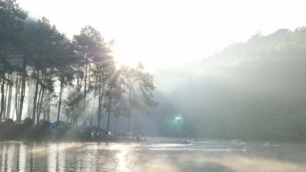 Ранкові Атмосферні Сонячні Промені Бамбукові Рифтові Туристи Над Плантаціями Лісового — стокове відео
