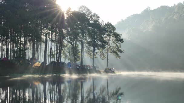 Atmosphère Matinale Ensoleillement Lac Pang Ung Forestry Plantations Province Maehongson — Video