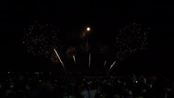 Real Fondo Fuegos Artificiales Gente Que Viene Ver Playa Festival — Vídeo de stock