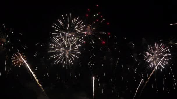 Riktiga Fyrverkerier Bakgrund Stranden Pattaya International Fireworks Festival Nyårsfirande Fyrverkerier — Stockvideo