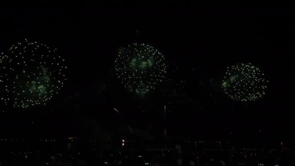 Vero Sfondo Fuochi Artificio Persone Che Vengono Guardare Sulla Spiaggia — Video Stock