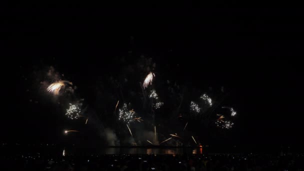 Real Fondo Fuegos Artificiales Gente Que Viene Ver Playa Festival — Vídeos de Stock