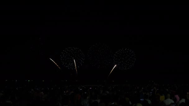 Riktiga Fyrverkerier Bakgrund Och Människor Som Kommer Att Titta Stranden — Stockvideo