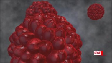 Bakteri hücresi Yeni Koronavirüs diğer parçacıklarla birlikte etrafta dolaşıyor. Arkaplan virüs hücreleri 3D görüntüleme. Canlandırılmış Üçüncü Metin Covid 19 ve düzeltme için metin yok