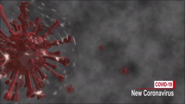 Bacteria Cell New Coronavirus Floating Other Particles Background Virus Cells — Stock Video