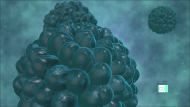 Baktériumsejt Koronavírus Lebeg Más Részecskékkel Háttér Vírus Sejtek Renderelés Animált — Stock videók
