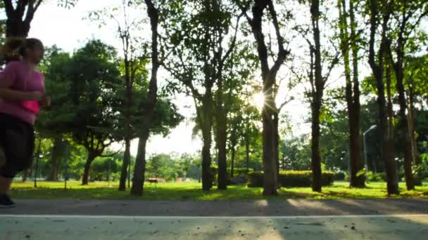 Slow Motion Vista Lateral Las Mujeres Asiáticas Corriendo Trotando Parque — Vídeo de stock