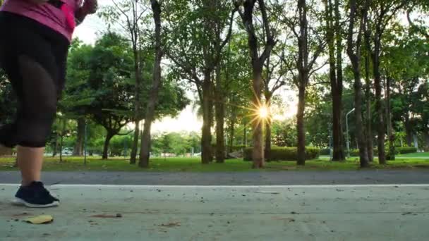 Slow Motion Vista Inferior Las Mujeres Corriendo Trotando Parque Sol — Vídeos de Stock