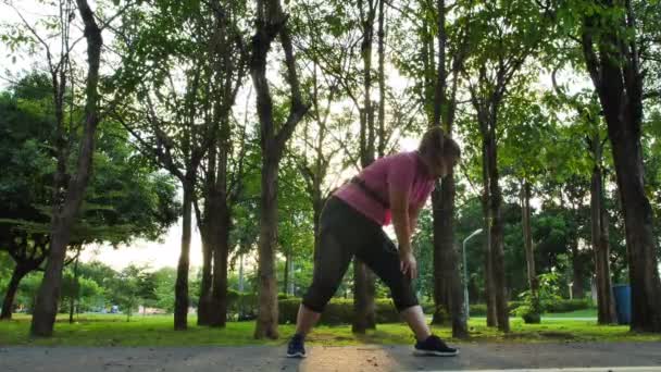 Mulheres Asiáticas Aqueça Esticar Antes Exercício Parque Sol Noite Boa — Vídeo de Stock