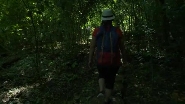 Вид Сзади Азиатскую Женщину Гуляющую Лесу Загорающую Утром Пешие Прогулки — стоковое видео