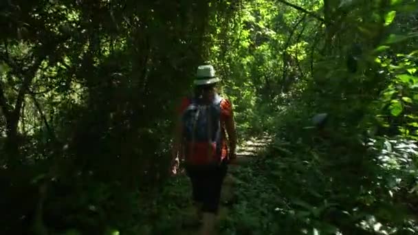 午前中に森林や日差しの中を歩くバックパッカーアジアの女性のバックビュー 森林旅行の冒険でハイキングするハイカー Asia Thailand — ストック動画