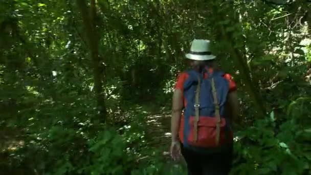 Backpacker Asiatische Frau Beim Morgendlichen Spaziergang Wald Und Sonne Wanderer — Stockvideo