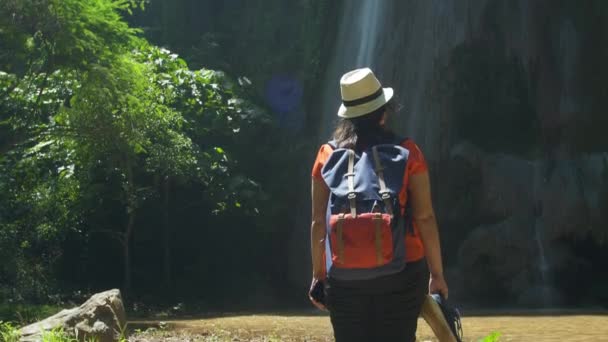 Visão Traseira Mulher Asiática Backpacker Floresta Relaxante Desfrutando Stand Olhando — Vídeo de Stock