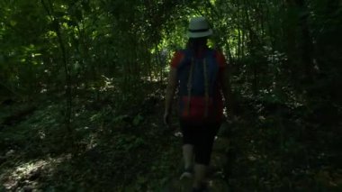 Sırt çantalı Asyalı bir kadının sabah ormanda ve güneş ışığında yürüyüşünün arka görüntüsü. Orman gezisinde yürüyüş yapan yürüyüşçüler Asya Tayland