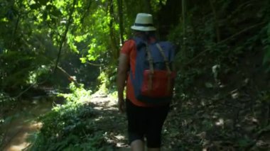 Sırt çantalı Asyalı bir kadının sabah ormanda ve güneş ışığında yürüyüşünün arka görüntüsü. Orman gezisinde yürüyüş yapan yürüyüşçüler Asya Tayland