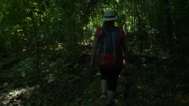 Achteraanzicht Van Backpacker Aziatische Vrouw Wandelen Bos Zon Ochtend Wandelaars — Stockvideo