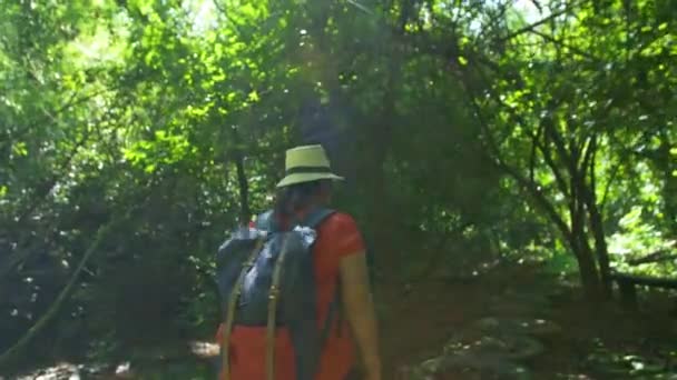 Sırt Çantalı Asyalı Bir Kadının Sabah Ormanda Güneş Işığında Yürüyüşünün — Stok video
