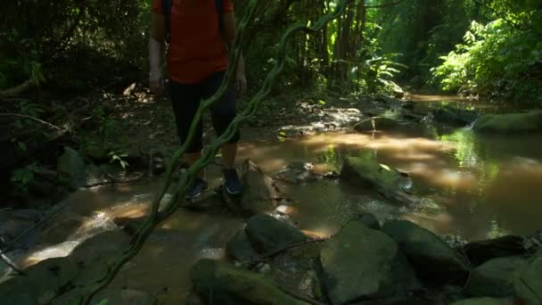 背包客亚洲女人走在林间小河边 清晨阳光普照 徒步旅行于泰国亚洲森林探险 — 图库视频影像