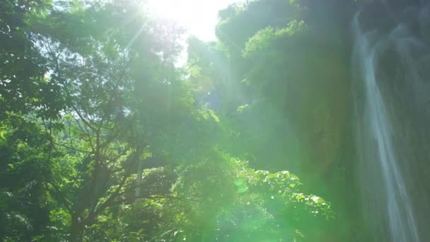 Дивовижний Вигляд Невидимого Водоспаду Глибокому Лісі Тропічні Зелені Листочки Сонячне — стокове відео