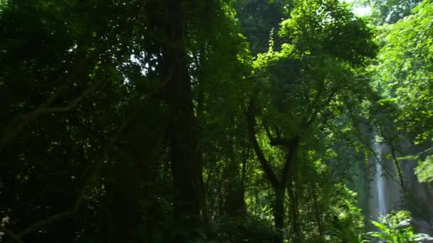 Increíble Vista Cascada Invisible Bosque Profundo Frondosas Hojas Verdes Sol — Vídeo de stock