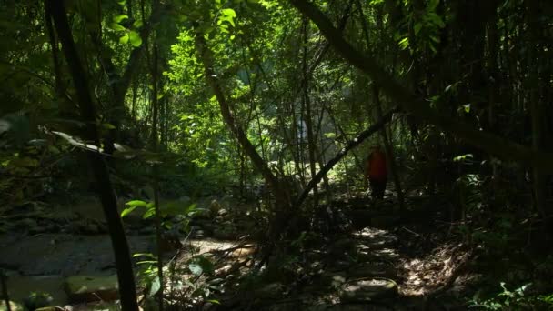 Mochilero Mujer Asiática Caminando Bosque Sol Mañana Senderistas Senderismo Aventura — Vídeos de Stock