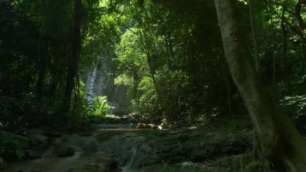 Amazing Unseen Waterfall View Deep Forest Lush Green Leafes Sunshine — Stock Video