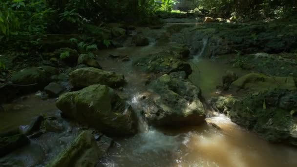 Удивительный Вид Невидимый Водопад Глубоком Лесу Пышные Зеленые Фильтры Солнце — стоковое видео