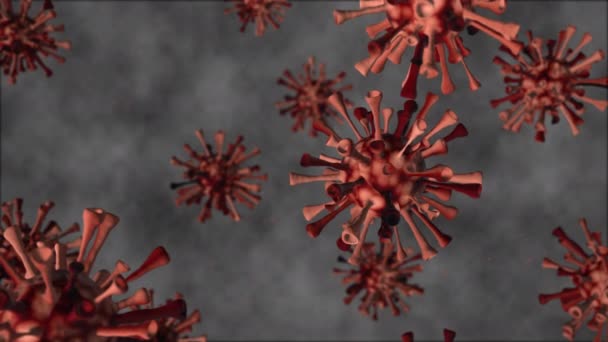 細菌細胞新しいコロナウイルスCovid 19は他の粒子と一緒に浮遊しています 背景ウイルス細胞 科学と医療のための3Dレンダリング — ストック動画
