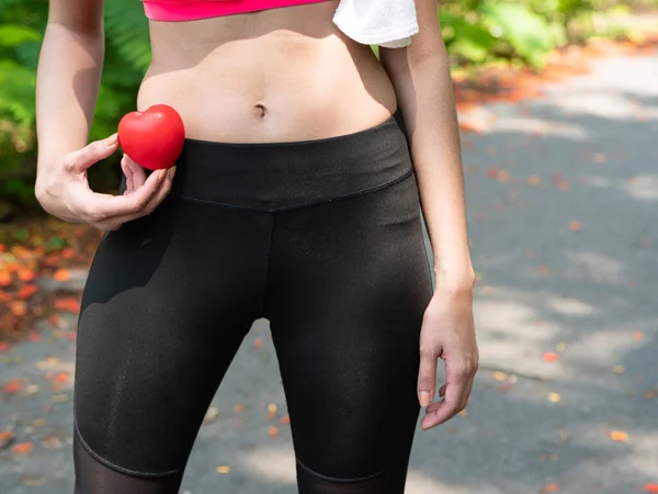 Sıska Kadın Spor Giyim Kalp Elinde Sağlıklı Egzersiz Sağlıklı Sağlık — Stok fotoğraf