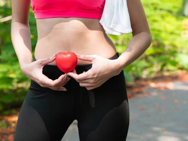 Sıska Kadın Spor Giyim Kalp Elinde Sağlıklı Egzersiz Sağlıklı Sağlık — Stok fotoğraf