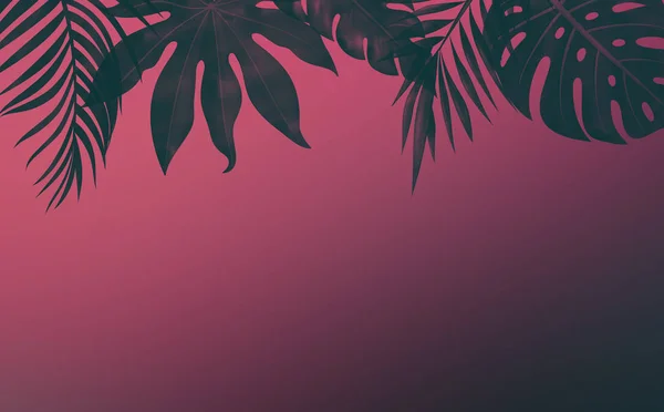 Фон Тропическими Листьями Текстурой — стоковое фото
