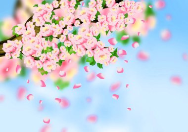 Arka plan bahar, çiçekler, Bahar