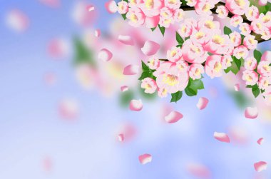 Arka plan bahar, çiçekler, Bahar