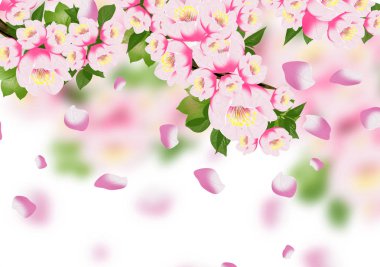 Arka plan bahar, çiçekler, Bahar