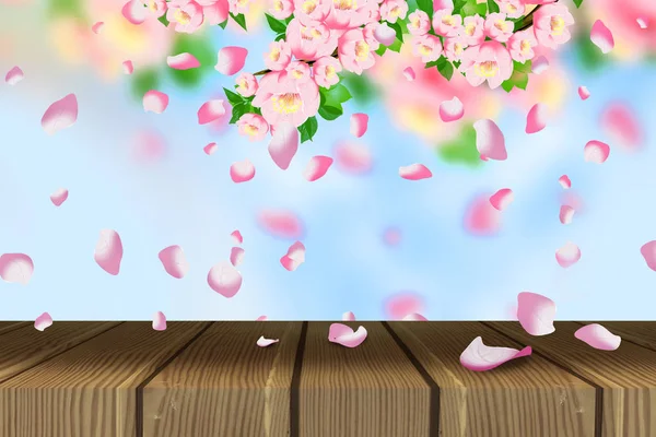 Spring Background Flowers Spring — Stock Photo, Image
