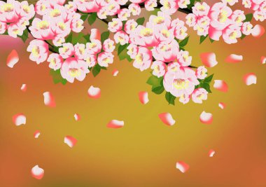 Arka plan bahar, çiçekler, Bahar