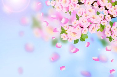 Arka plan bahar, çiçekler, Bahar