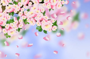 Arka plan bahar, çiçekler, Bahar