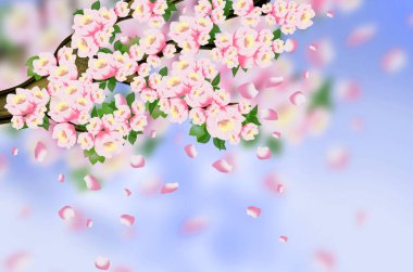 Arka plan bahar, çiçekler, Bahar