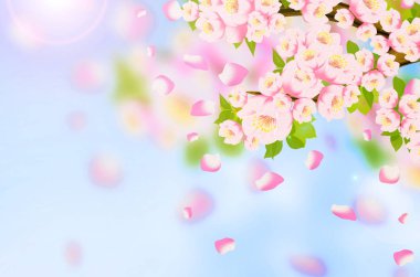 Arka plan bahar, çiçekler, Bahar