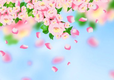 Arka plan bahar, çiçekler, Bahar