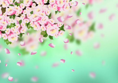 Arka plan bahar, çiçekler, Bahar