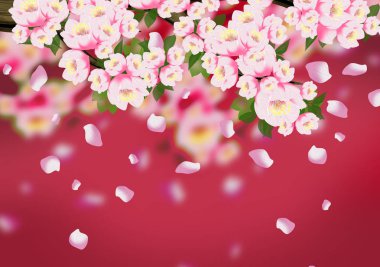 Arka plan bahar, çiçekler, Bahar