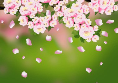 Arka plan bahar, çiçekler, Bahar