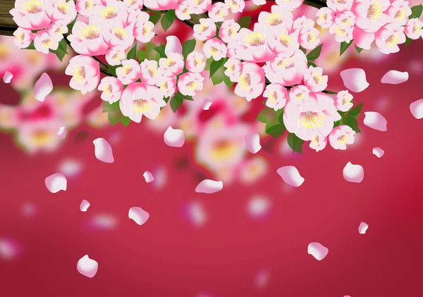 Arka plan bahar, çiçekler, Bahar