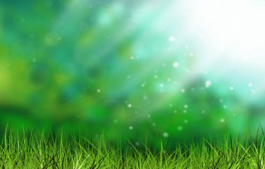 Yeşil Yaz arka plan, ışık, çim ışını