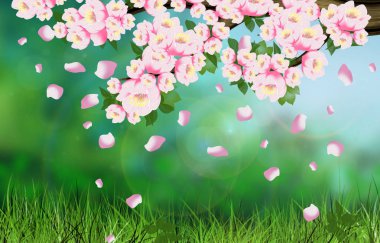 Yeşil Yaz arka plan, ışık, çim ışını