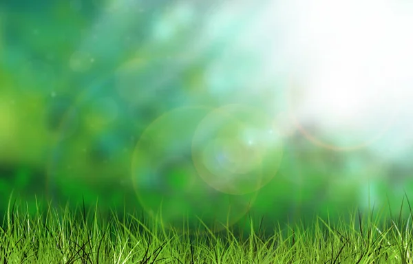 Green summer background, ray of light, grass