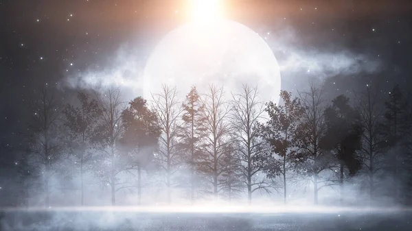 Mörk Skog Dyster Mörk Scen Med Träd Stor Måne Månsken — Stockfoto